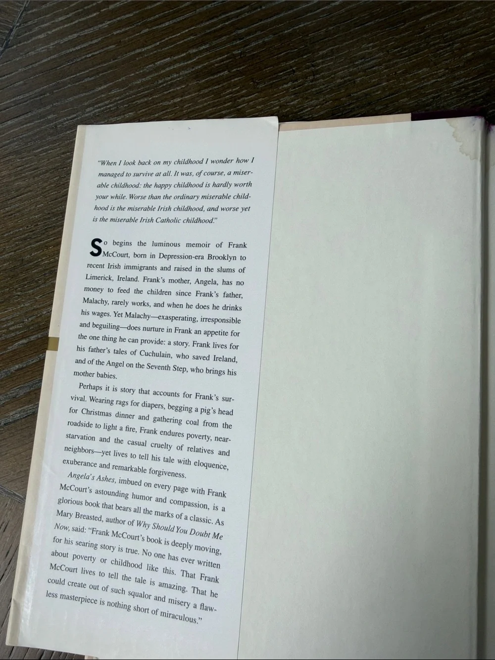 Angela's Ashes Hardcover Memoir - Cream & Brown